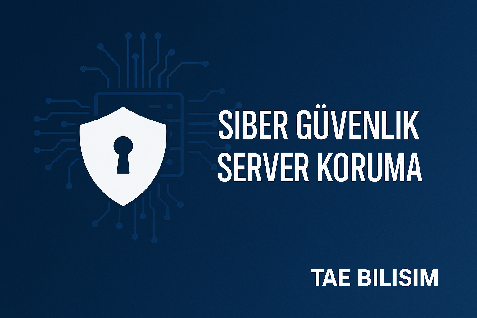 Dilovası’ndaki Firmalar İçin Siber Güvenlik ve Server Koruma | TAE Bilişim